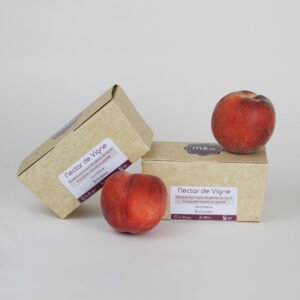 Nectar de Vigne
